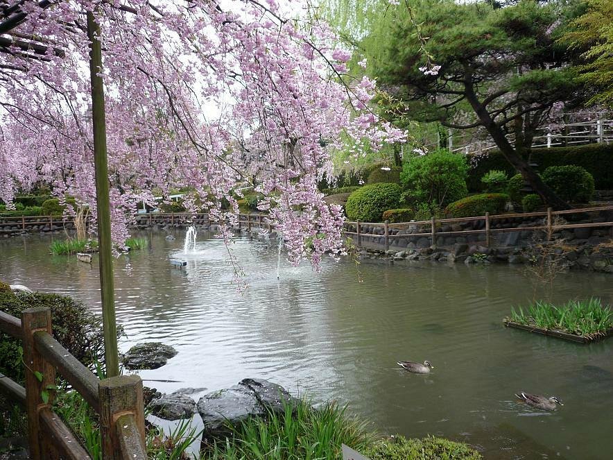 🌳 JRA 마사코엔(JRA 바지코엔) 이미지 11